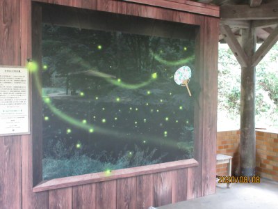 森林公園で仙台市科学館主催のトリックアート展が開催中です