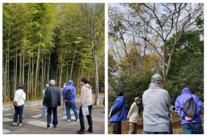 観察会：七北田公園の木々