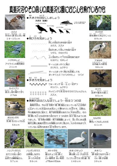 令和５年度　わくわく子どもの時間　第五回　真美沢公園の野鳥を観察しよう!