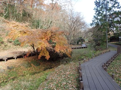 秋の台原森林公園