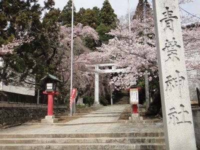 青葉神社 入口