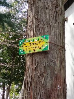 北三番丁公園の樹名板が新しくなりました！