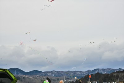 凧が舞う横を白鳥が飛んで行きました