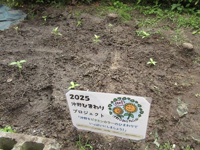 202506042.JPG