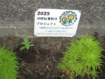202506052.JPG
