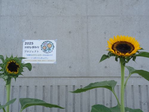 202507132.JPG