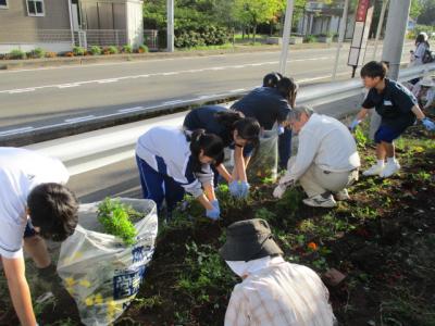 冬花壇用花壇整備1