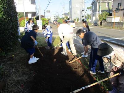 冬花壇用花壇整備2