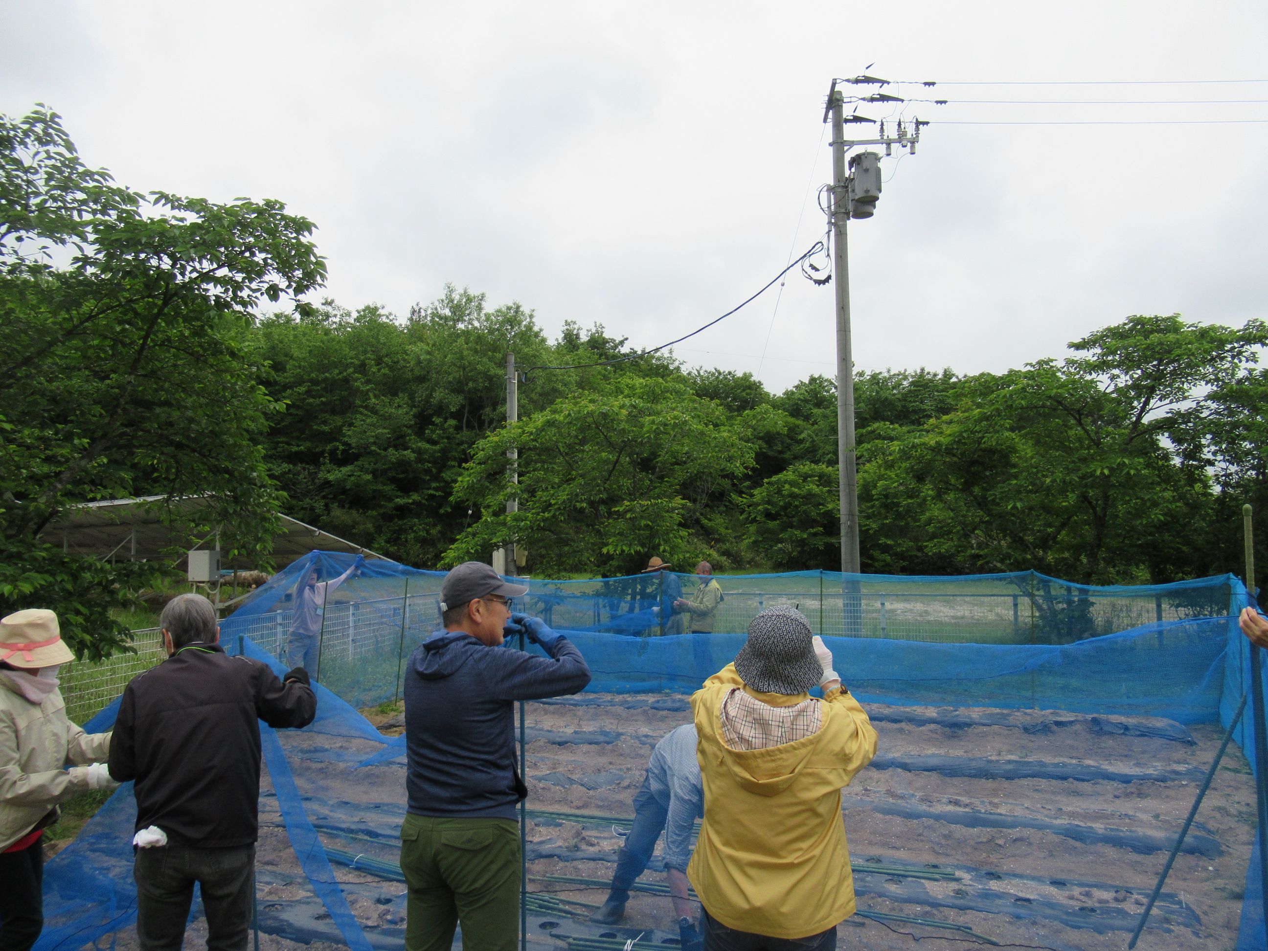 小動物が侵入しないように、結束バンドでしっかり固定しました。