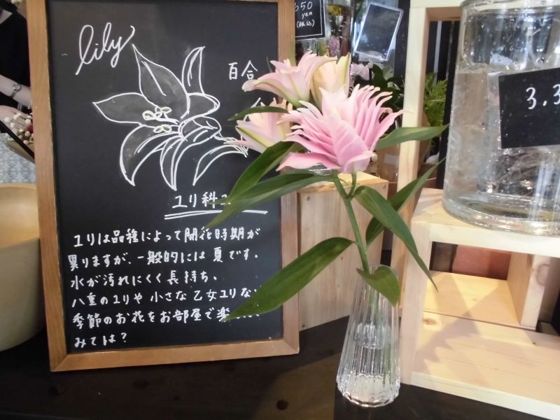 たんけん隊花桂