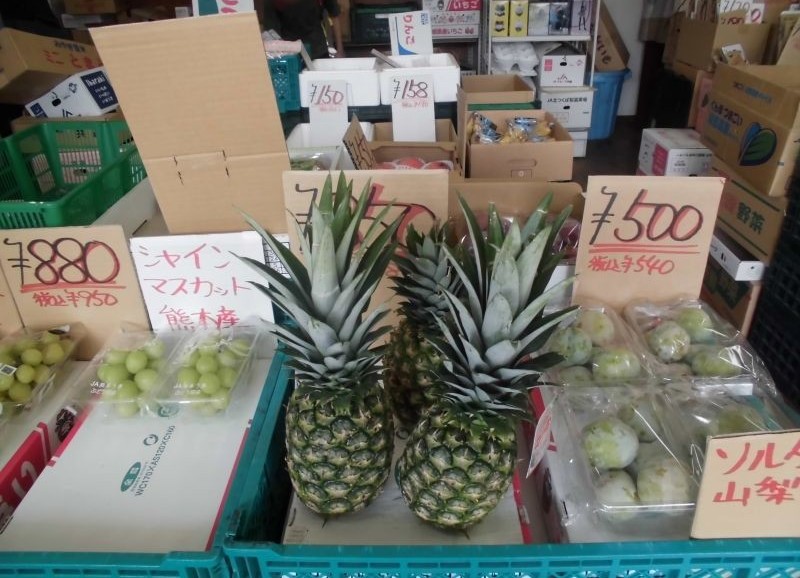 たんけん隊宇佐見商店