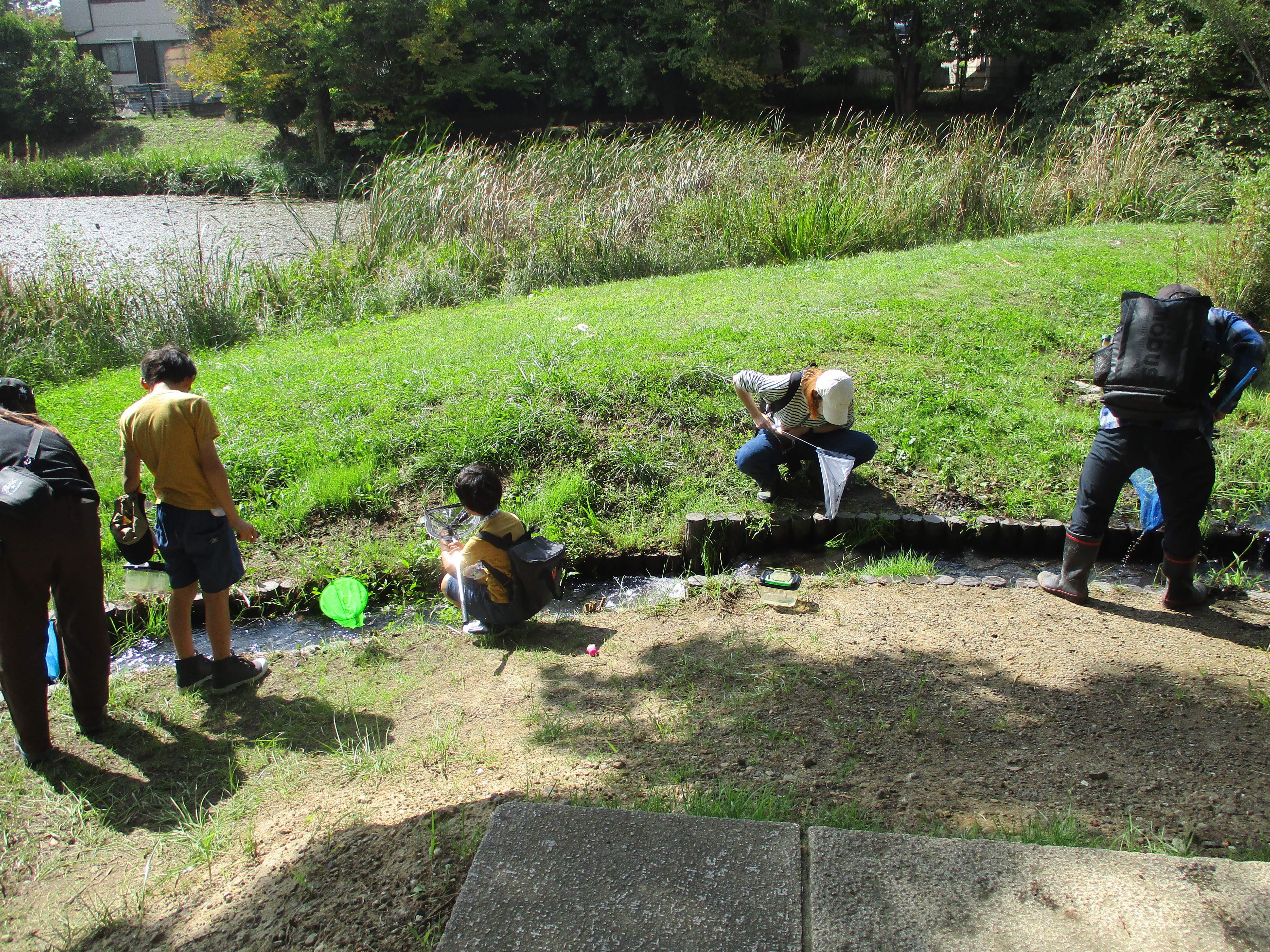 天沼公園自然観察
