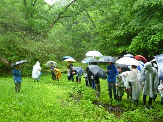 台原森林公園「ホタルとメダカの里」