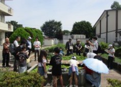 田子小学校陽だまりの池