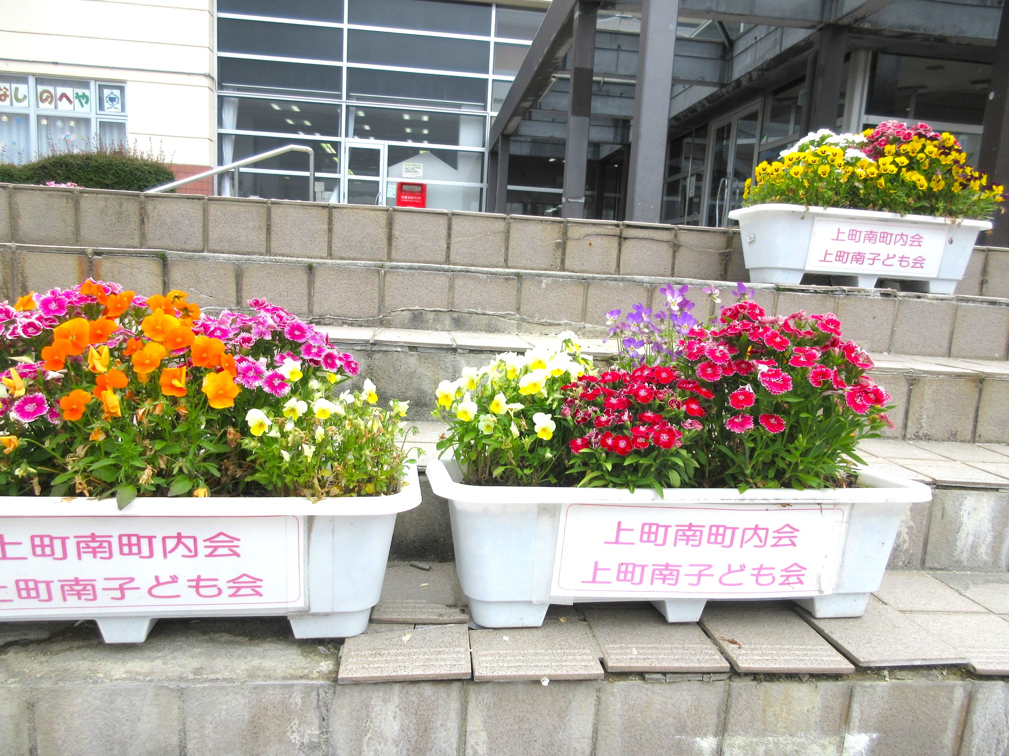 花植え3
