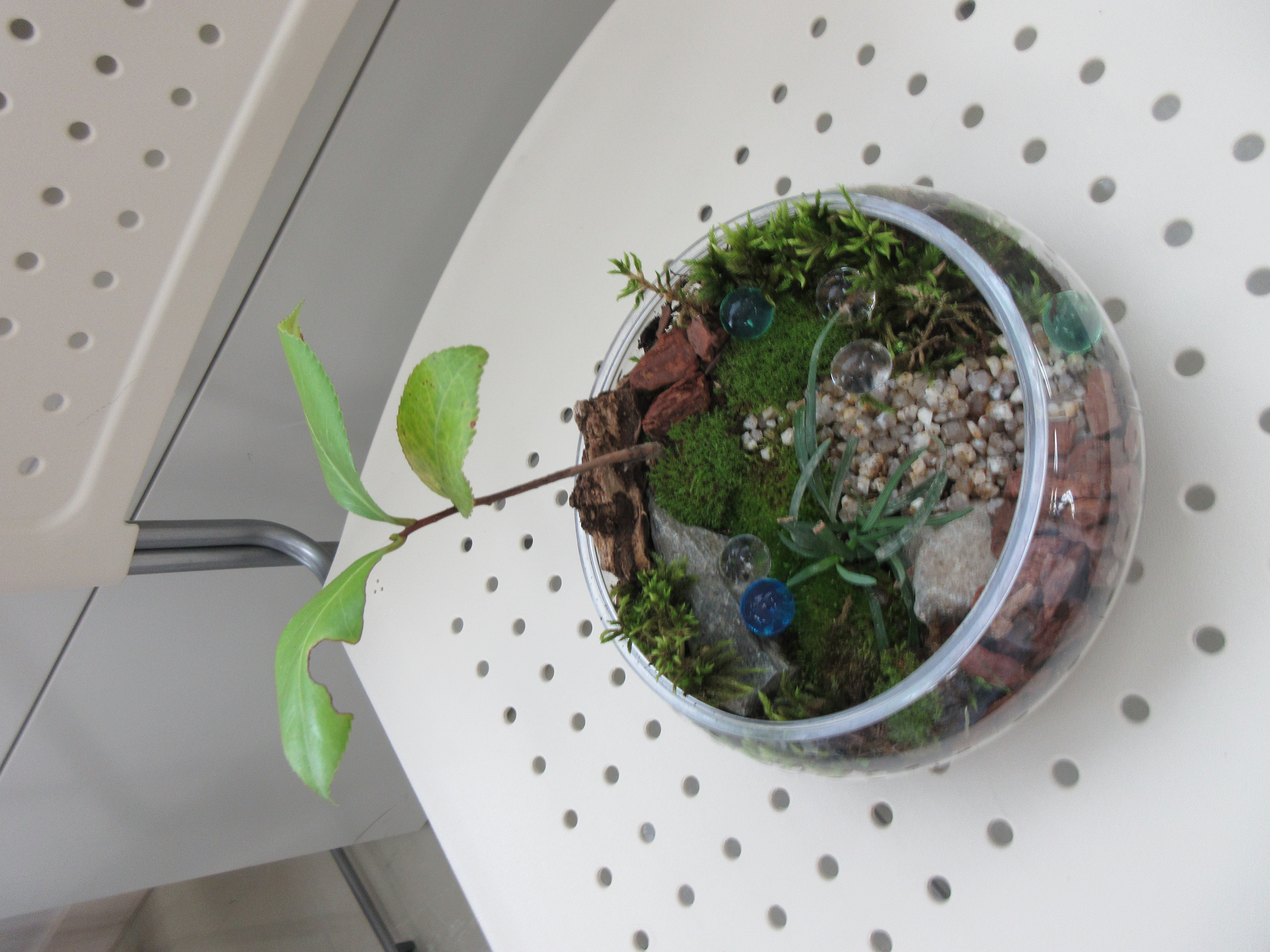 ミニチュアガーデン2