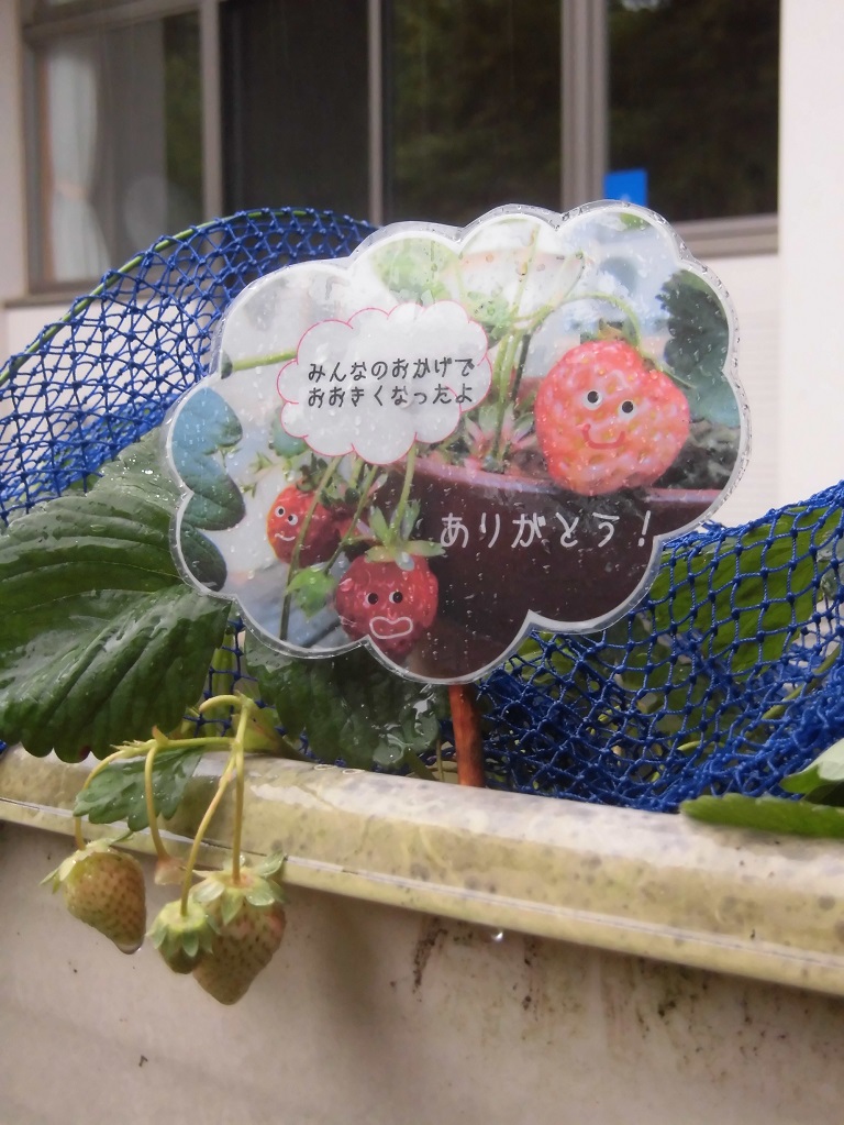 令和7年5月フォトギャラリー