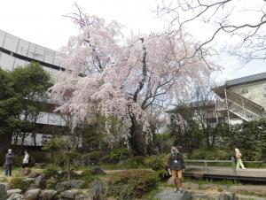 中島丁公園