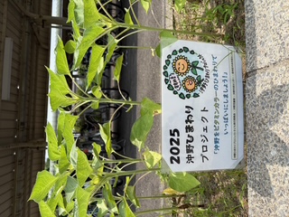 20250709