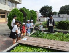 陽だまりの池観察会