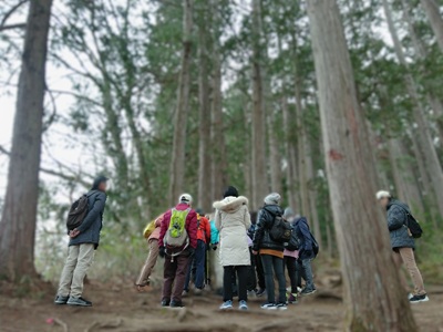 台原森林公園をまるごと楽しもう冬