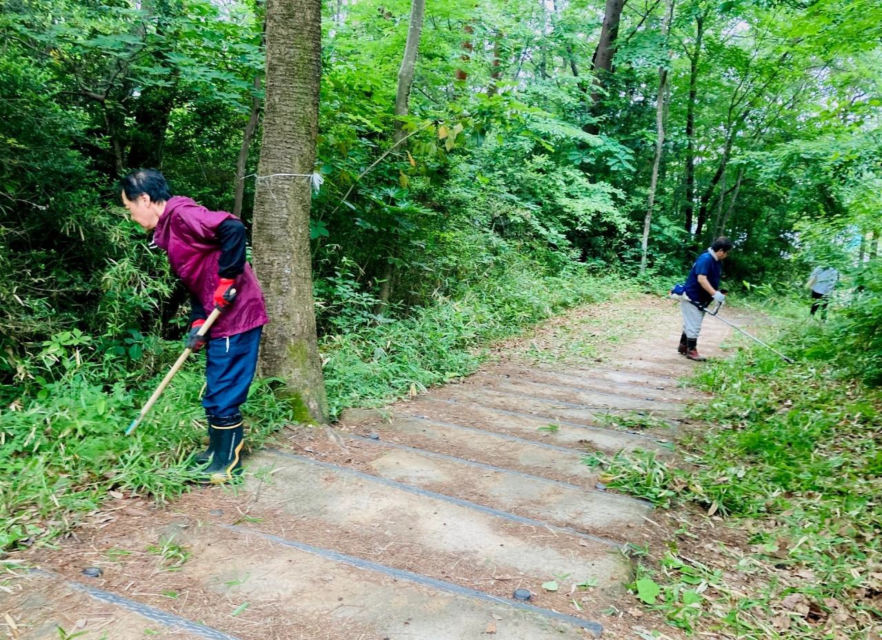 真美沢公園6月の整備風景