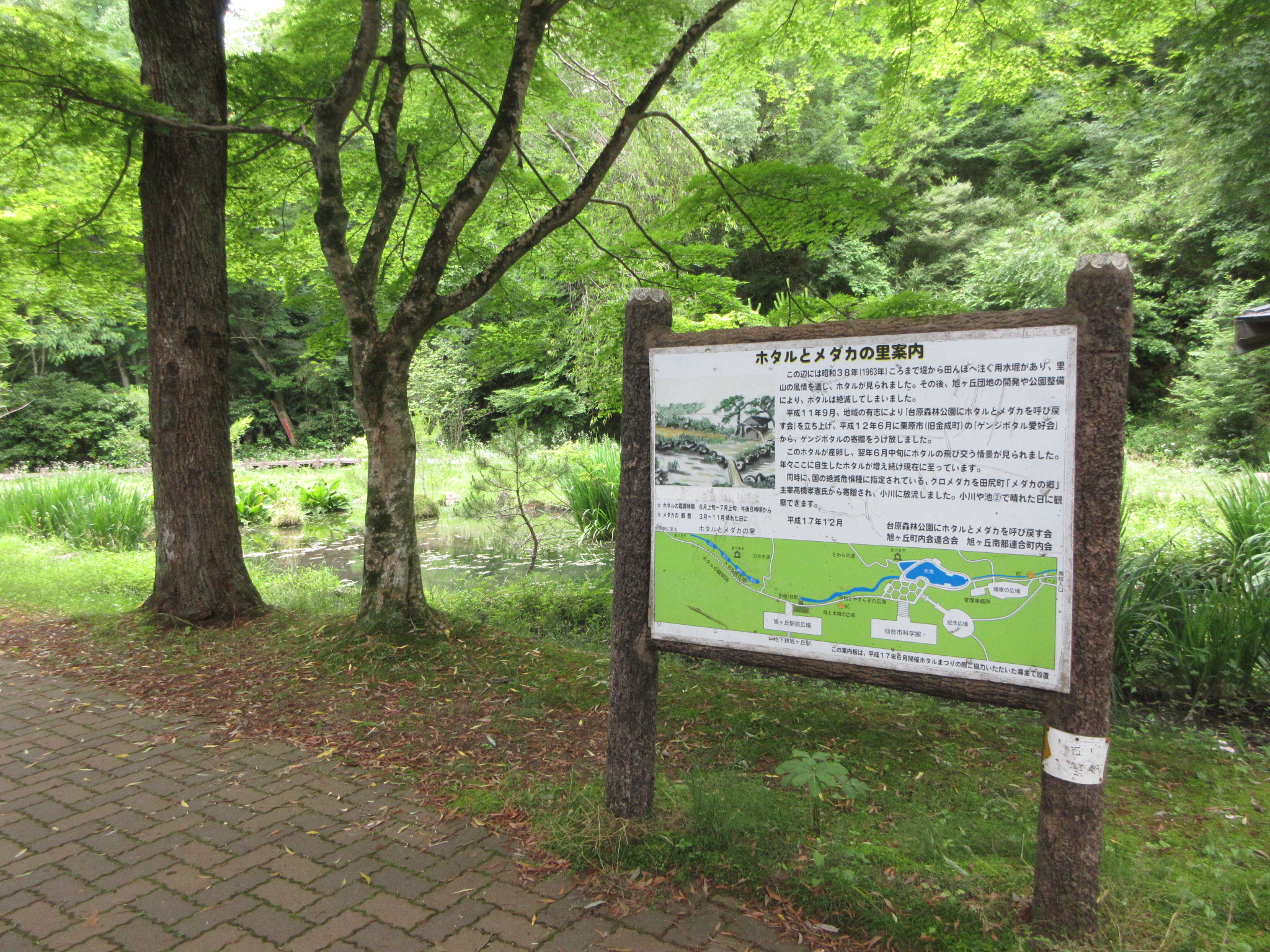 公園内写真