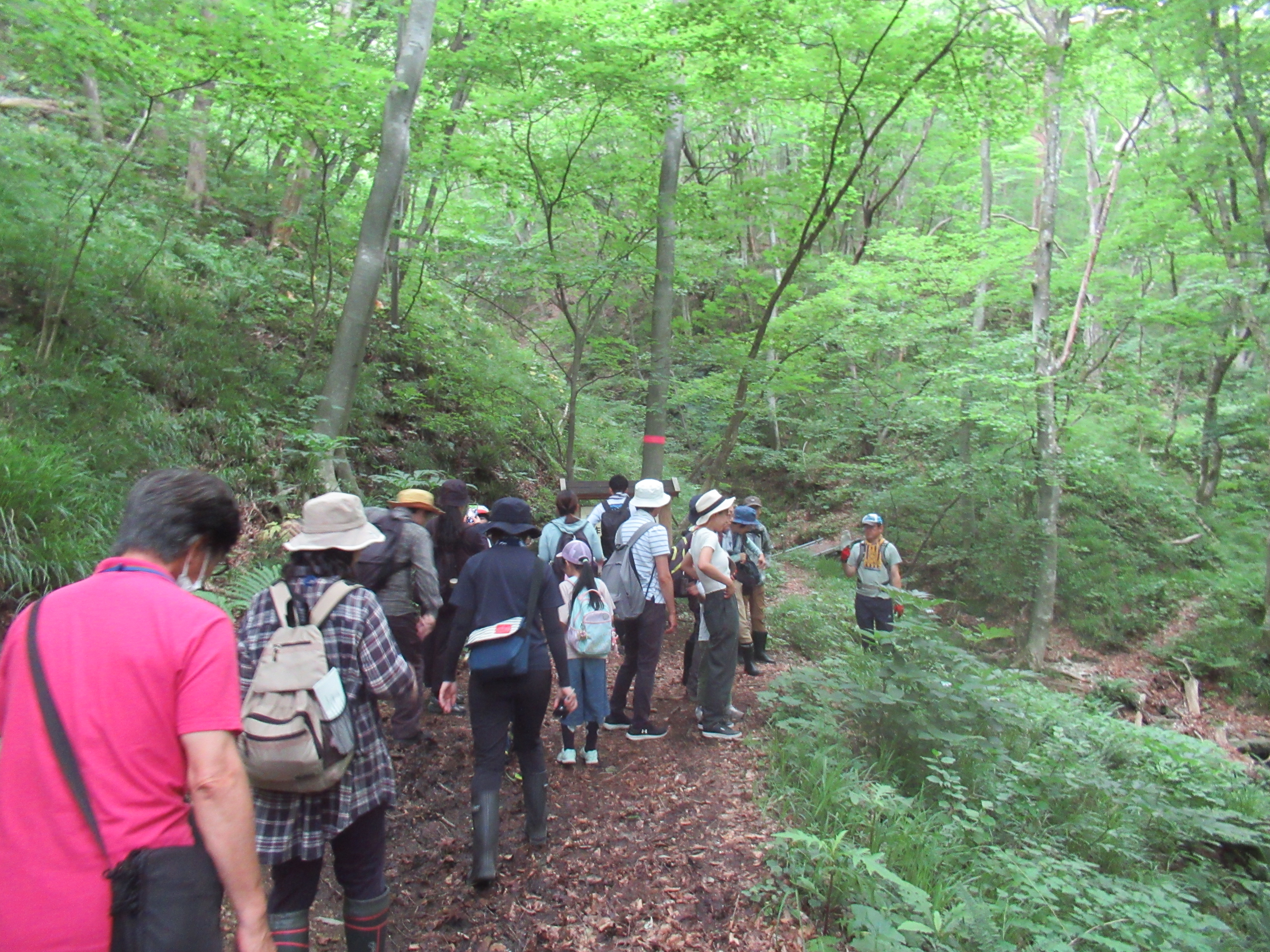 二ツ岩1