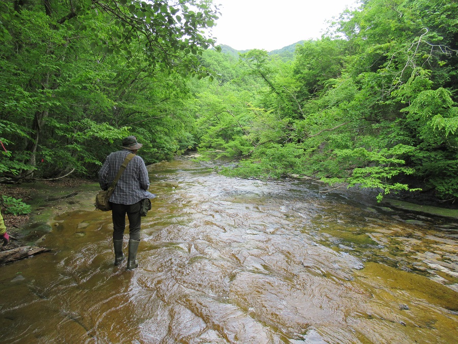 豆沢川
