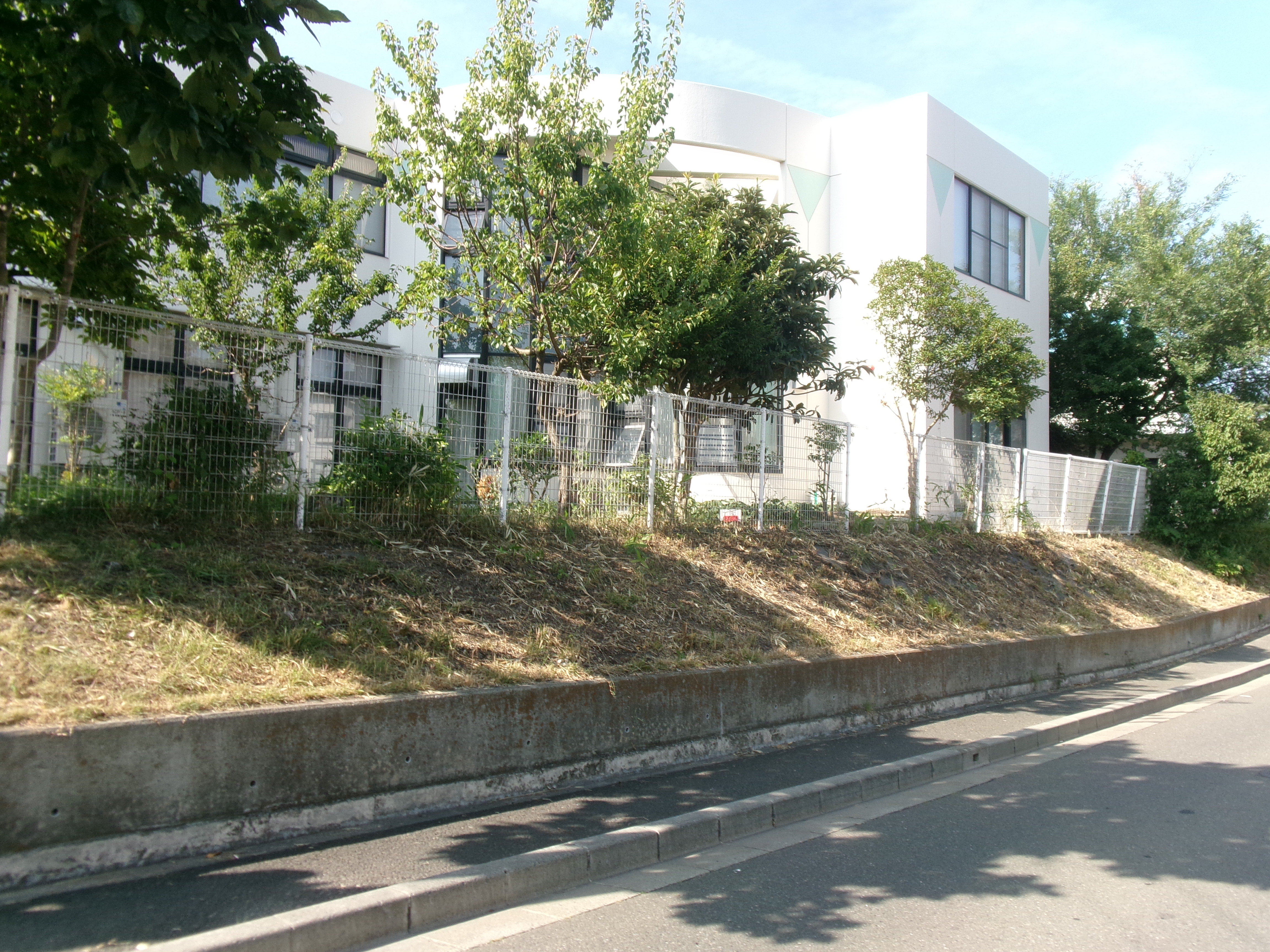 除草作業完了1