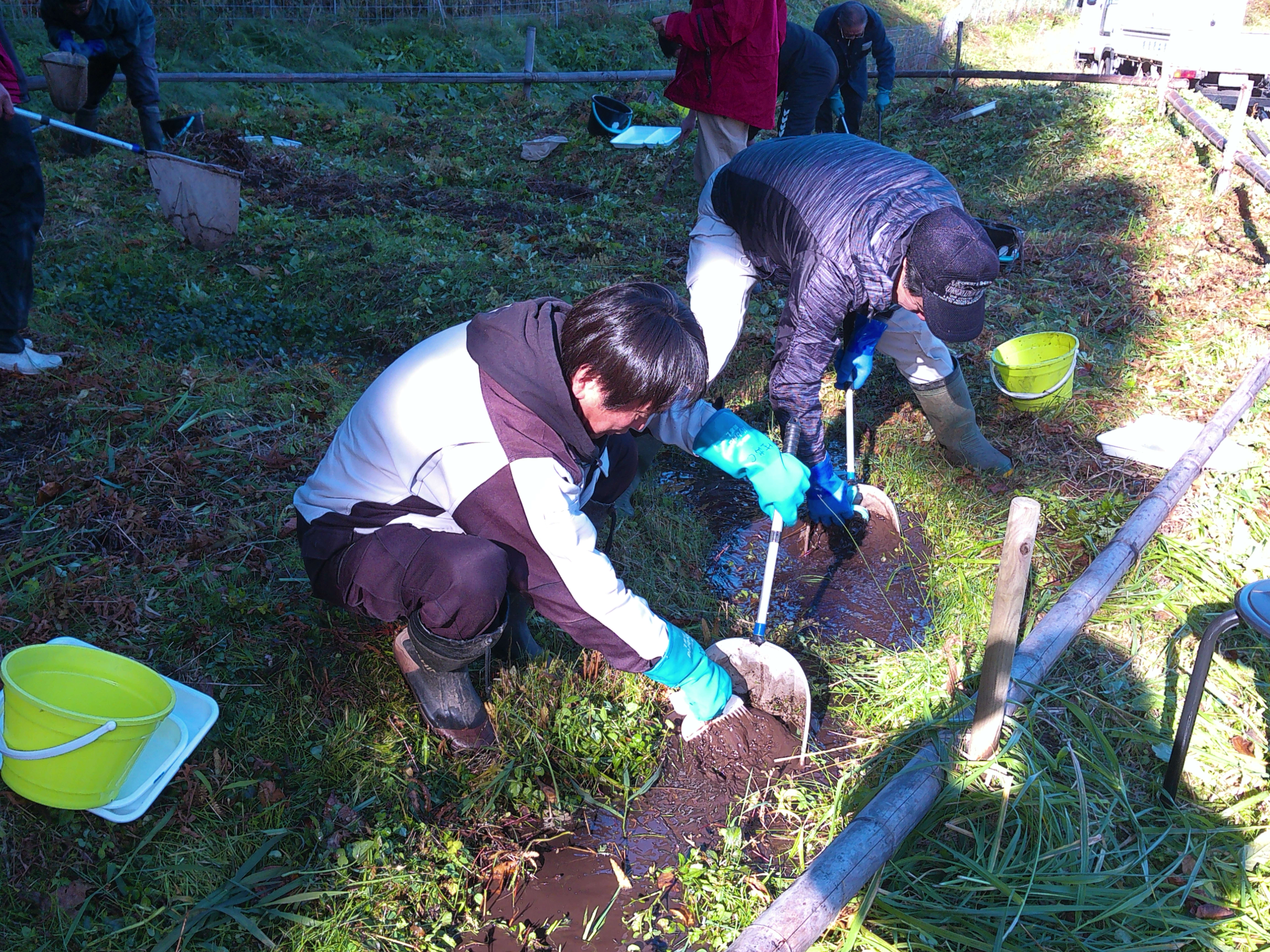 いきもの調査１
