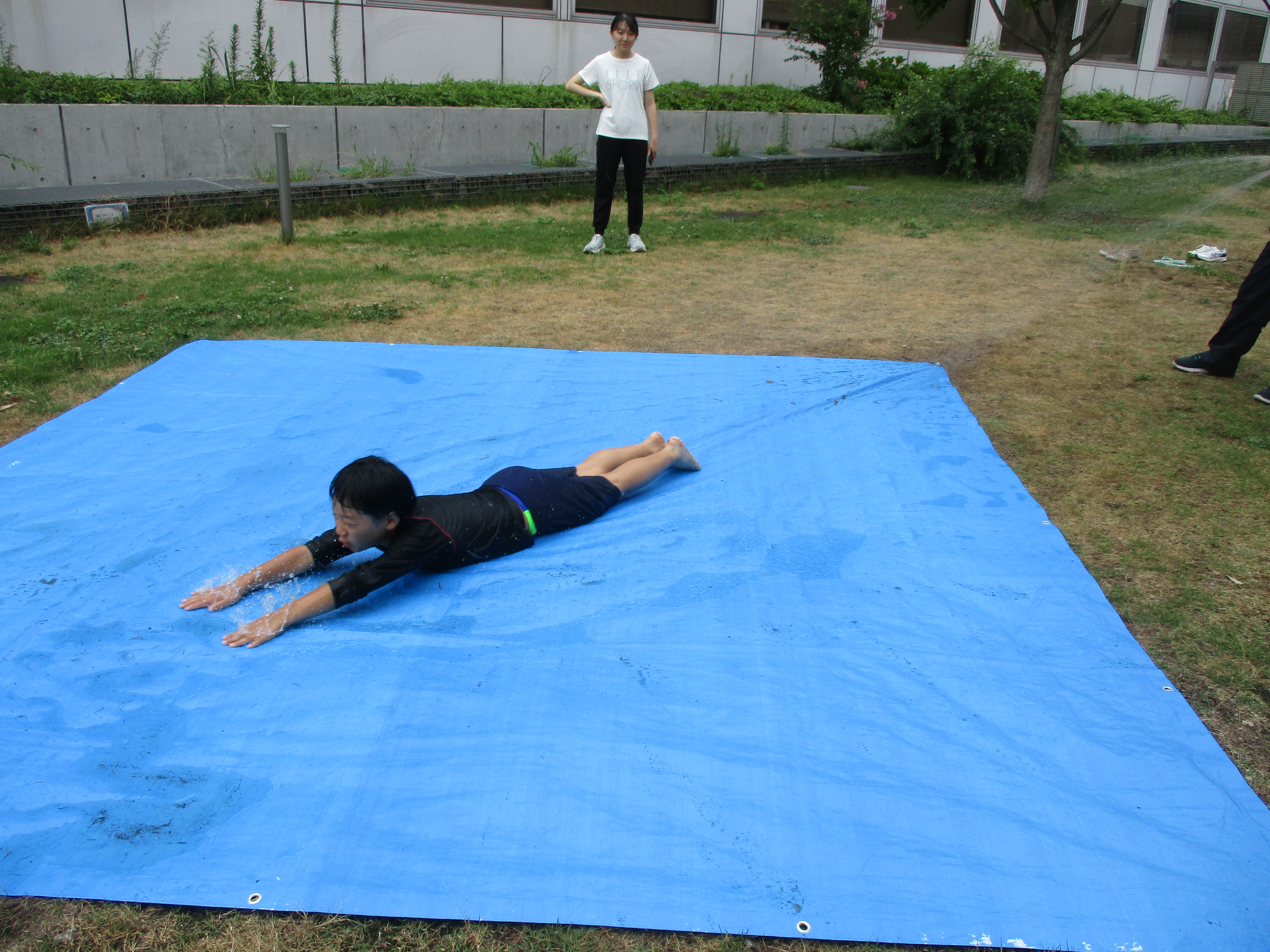 ブルーシートすべり