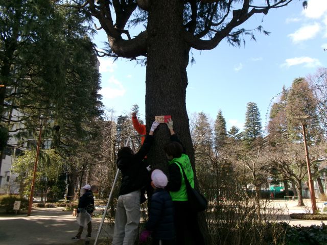 樹名板の付け替えをしている人たちの様子です。