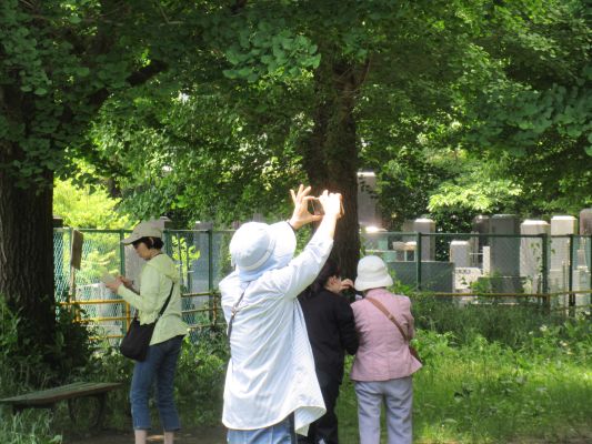 写真2