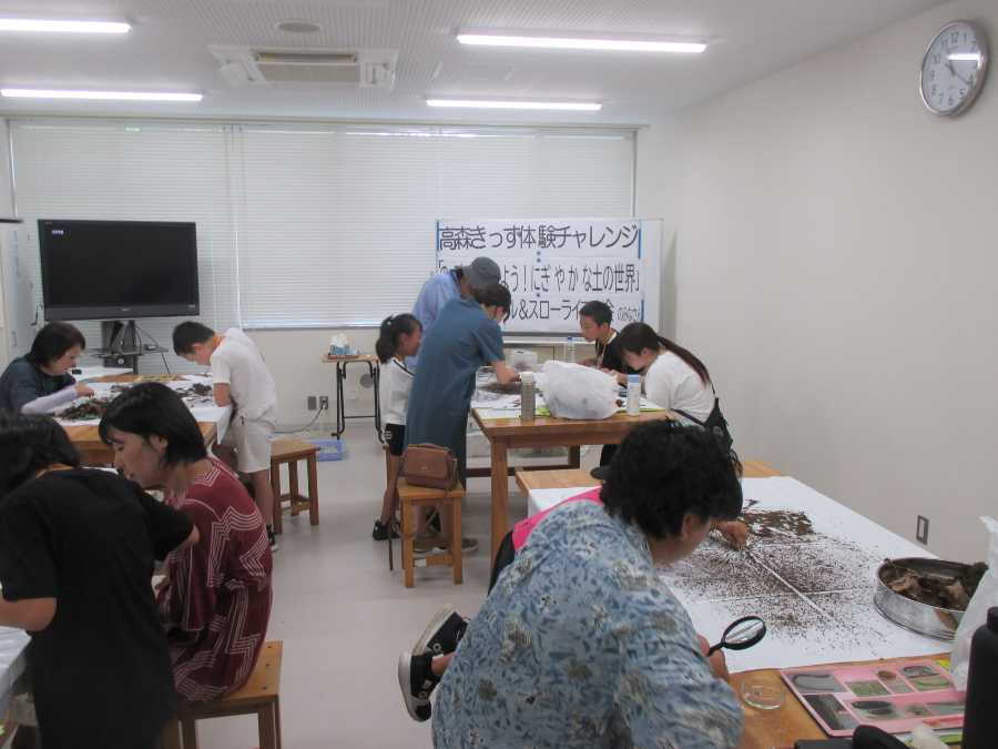 観察の様子（全体）
