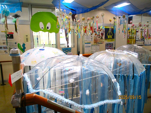 「加茂(の)水族館」館内展示の様子