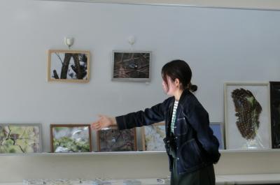 三本松緑地の鳥の写真