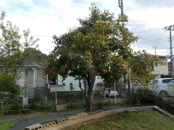 2510月フォトギャラリー1