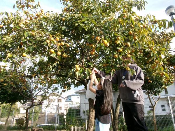 2510月フォトギャラリー2