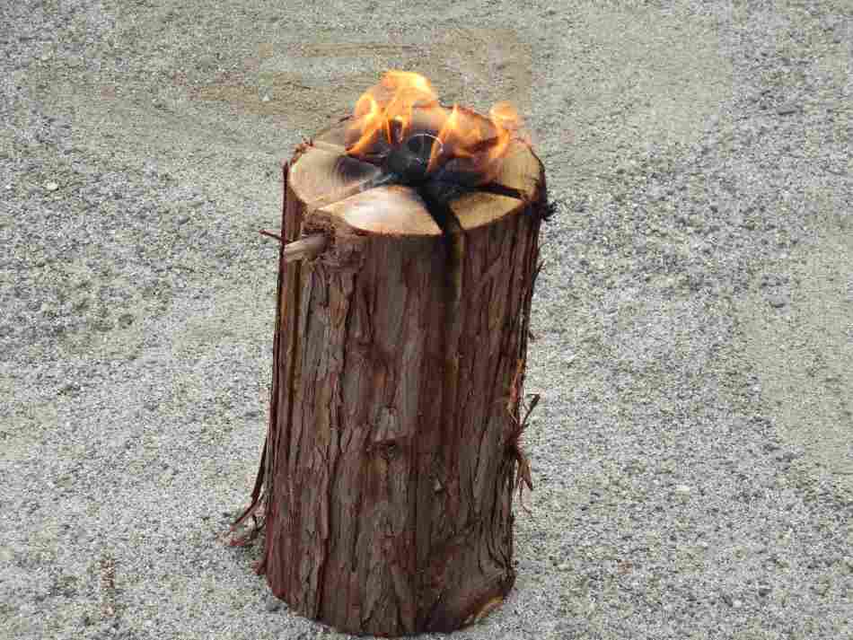 スウェーデントーチ