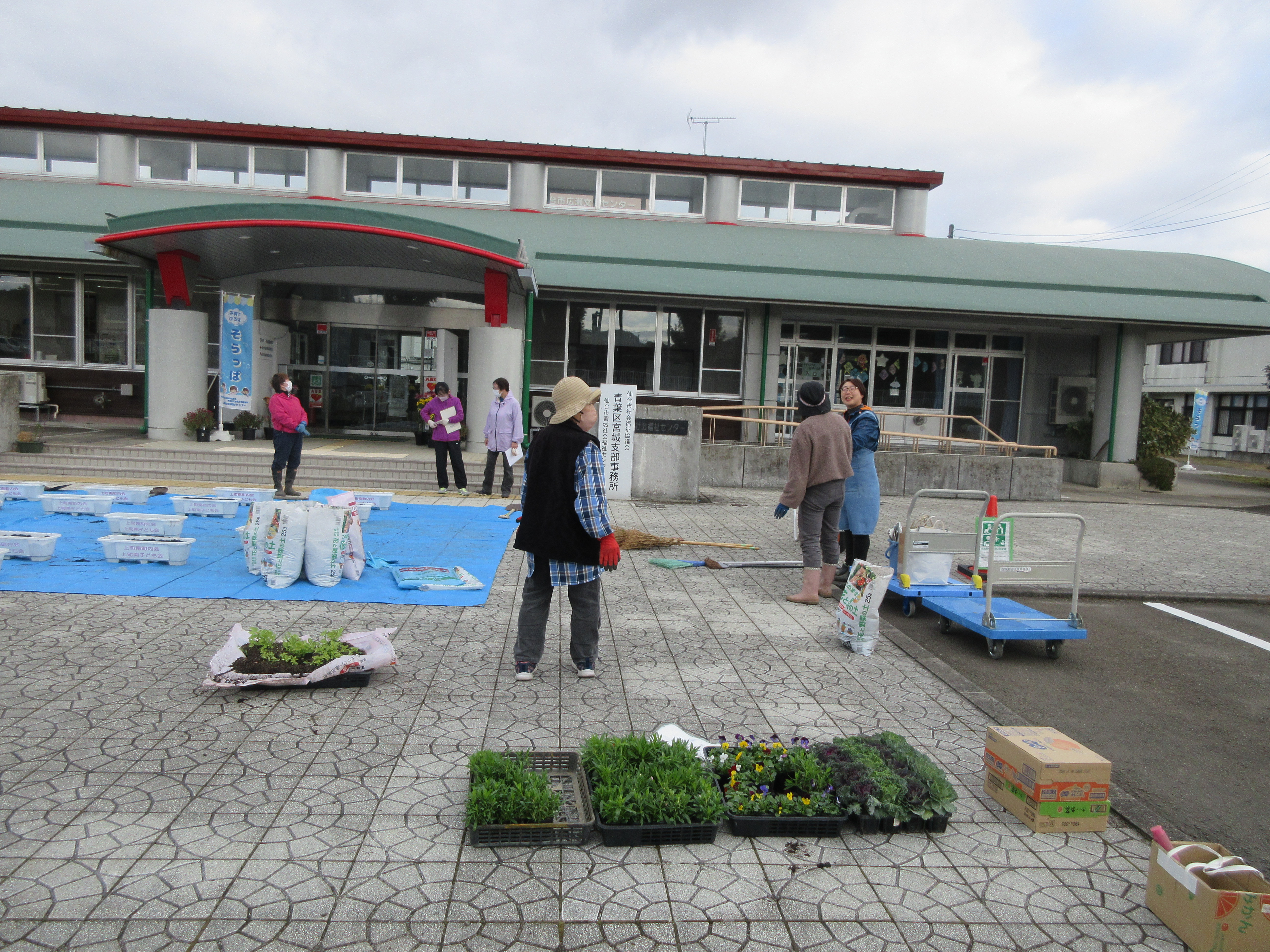 秋の花植え活動3
