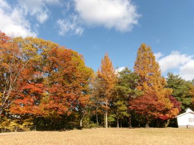 貝ケ森中央公園その1