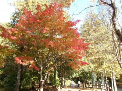 貝ケ森中央公園その2
