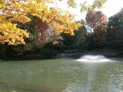 貝ケ森中央公園その3