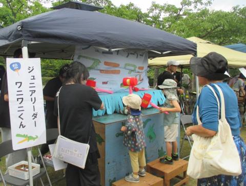 わにわにくんの様子