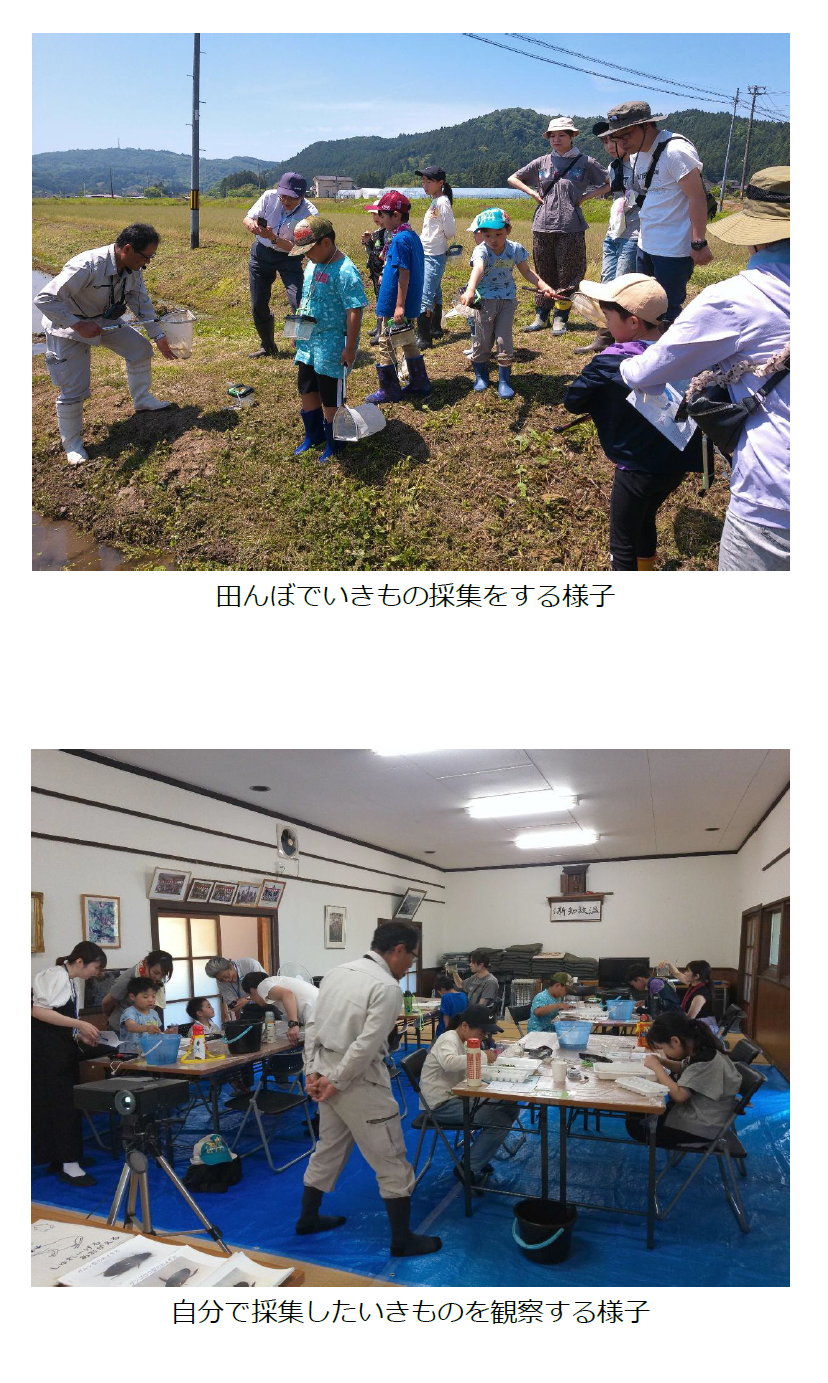 おいでわんぱく広場第1回講座実施の様子