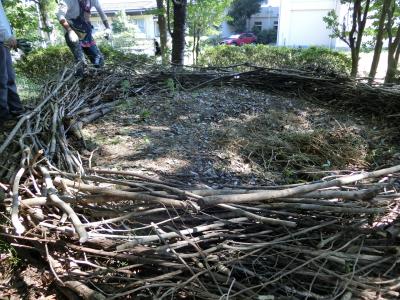 バイオネスト作り