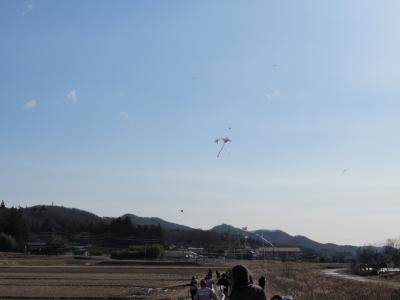 風に乗って次々と凧が揚がります。