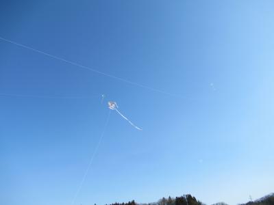 とても高い所まで凧が揚がりました。