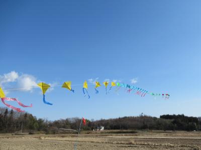 カラフルな連凧も登場しました。